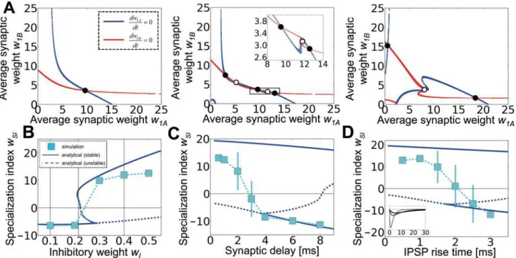Fig 3. Lateral inhibition is strong, fast, and sharp. (A) Nullclines of the average synaptic weight changes at different inhibitory amplitudes w Z = 0.1, 0.215, 0.4