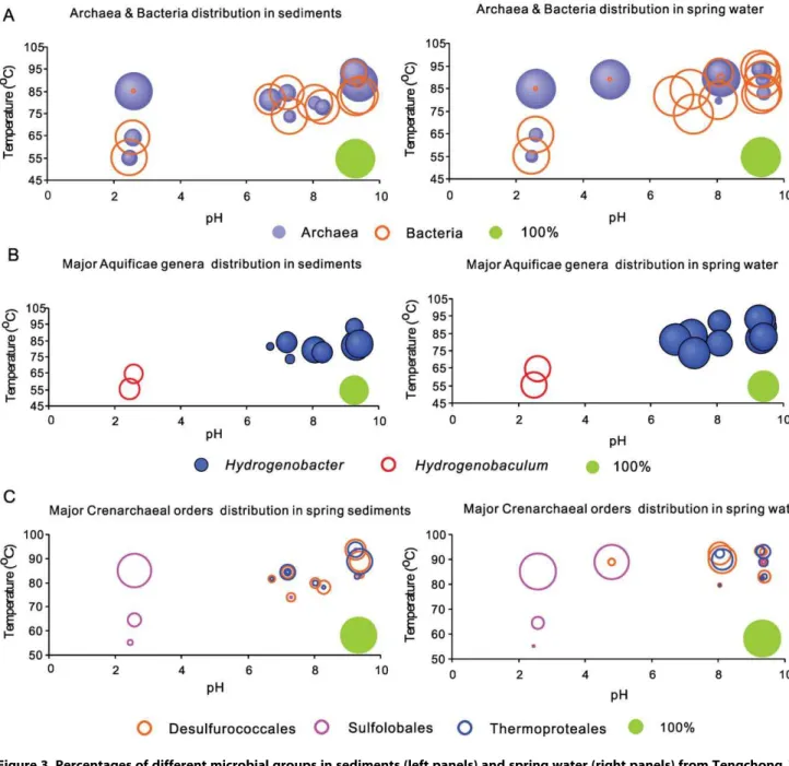 Figure 3. Percentages of different microbial groups in sediments (left panels) and spring water (right panels) from Tengchong