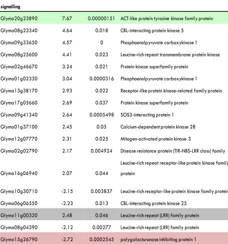 Table S2. A representative list of genes that were differentially transcribed in the root tip of S562L compared with that of the wild type
