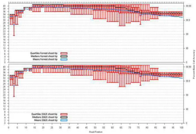 Figure 1. Phred quality scores of RNA sequencing reads. The percentage of base calling accuracy for each base position of the  read