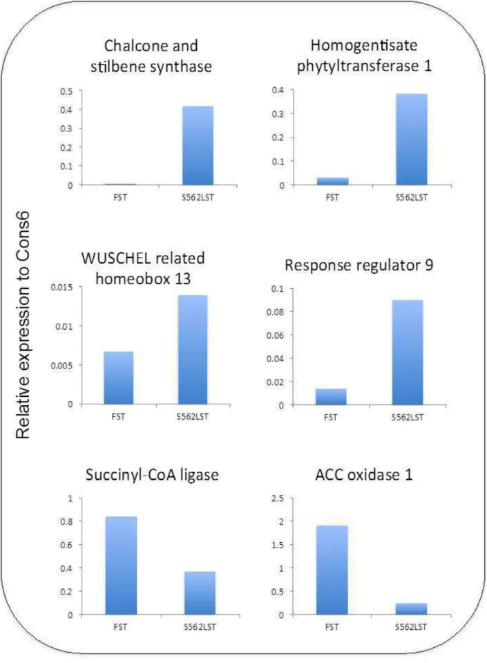 Figure 2. qRT-PCR analysis of six differentially expressed genes (based on RNA-seq) in the shoot samples