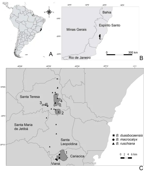 Figure 7 Map with the collection localities of the new species: (A) South America, the state of Espírito Santo in black; (B) Detail of the state of Espírito Santo and the neighboring states, the collection points in black; (C) Collection points