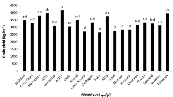 Figure 2. Grain yield means of wheat genotypes in site 1.1999-2000, 2000-2001. 