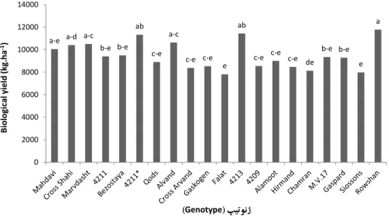Figure 6. Biological yield means of wheat genotypes in site 1. 1999-2000, 2000-2001. 