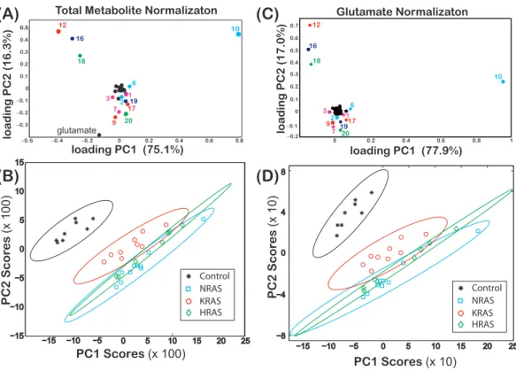 Figure 2 Loadings and score plots for effective NMR metabolite fractions. PCA of the effective NMR metabolite fractions, x metabolite in Eq