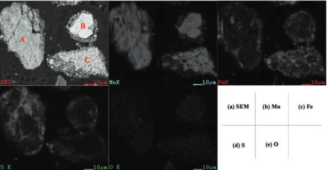 Figure 10. Backscattered  Electron  Image  (BEI)  and  main  elements  distribution  of  the  roasted  product  with  the  SEM imaging and surface scanning