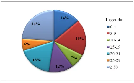 Gráfico 4.3. Percentagem de observações por intervalo de distância, em quilómetros. 