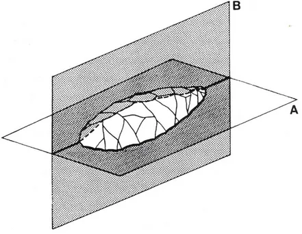 Fig. 4.3. Planos de equilíbrio bilateral (A) e bifacial (B) de um biface (INIZAN et. al., 1995)
