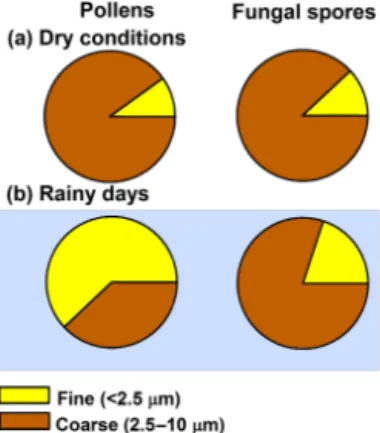 Figure 5. Apportionment of PM 10 mass (a) and PM 2.5 mass (b) during the spring of 2013 to pollens and fungal spores using CMB modeling.
