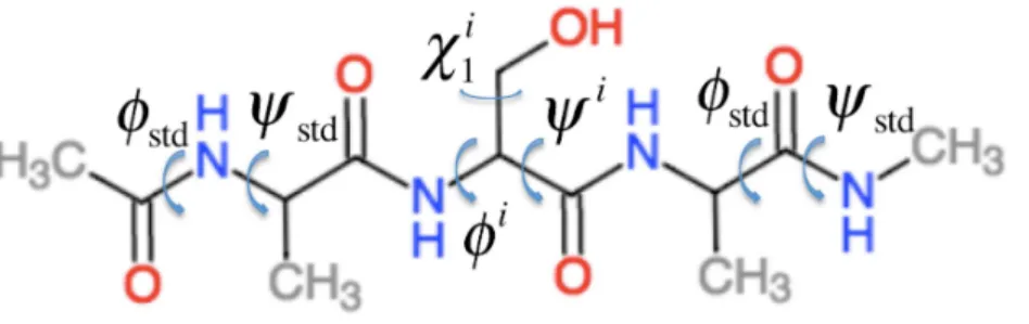 Figure 1 Example of the Ac–AXA–NMe tripeptides (for the case where X = Ser) used to compute the backbone contributions to the chemical shielding values.
