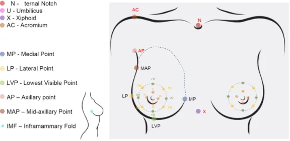 Figure 4.7: Reference points for the 3D landmarks, used both for the surface and the MRI.