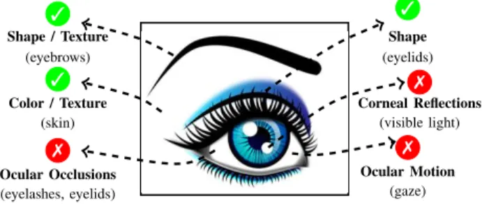 Fig. 1. Schema of the components in the ocular/periocular regions, with the three major factors that reduce the reliability of the ocular components for biometric recognition in covert mode: 1) eye gaze; 2) iris/sclera occlusions;