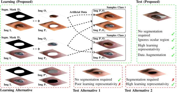 Fig. 2. Schema of the strategy used to implicitly force the CNN to disregard regions in the input data