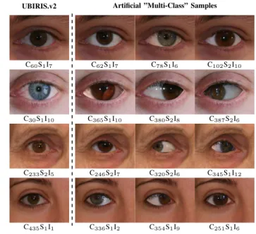 Fig. 4. Left column: UBIRIS.v2 samples. At right: Artificial ”multi-class”