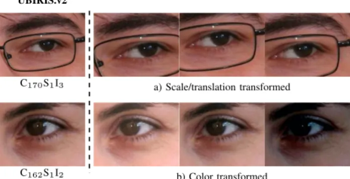 Fig. 5. Examples of the scale, translation and color transforms used. The upper row illustrates the randomly cropped patches, and the bottom row shows changes in color, obtained by adding multiples of the principal component vectors to each image pixel.