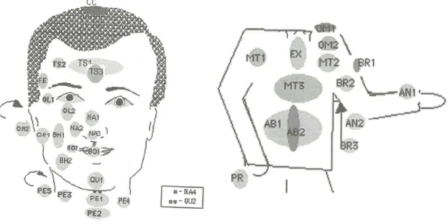 Figure 2.3: Localization of contact points [5]