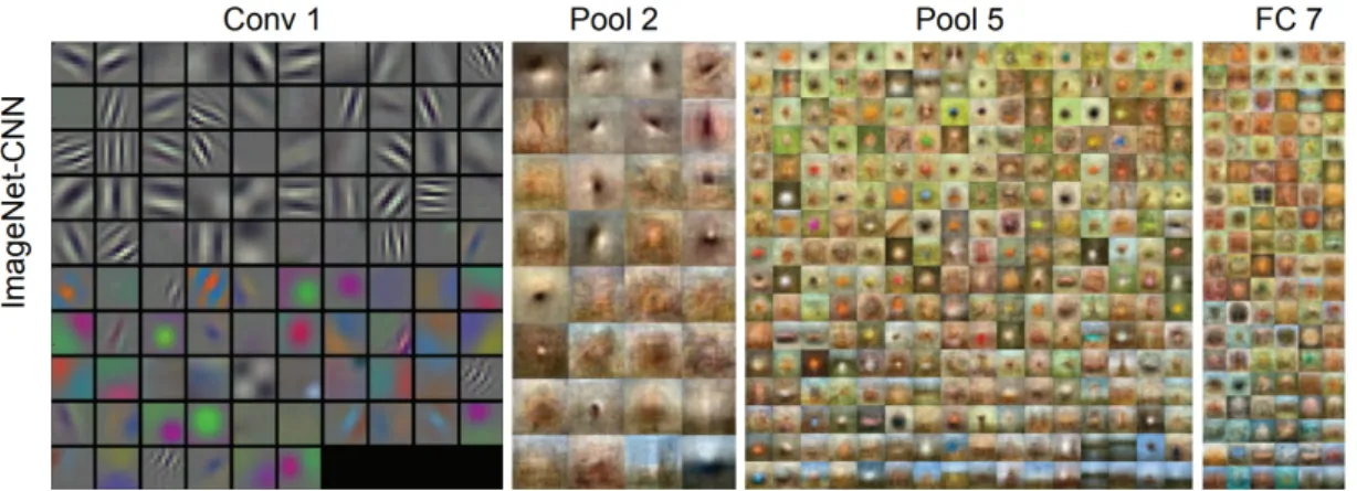 Figure 2.3: Feature visualization from an ImageNet trained CNN. (adapted from [40])