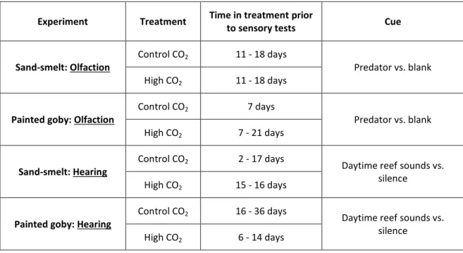 Table  1 Summary table with the  range of time (in days) spent by larvae in each treatment prior to  sensory tests (for both olfaction and hearing experiments)