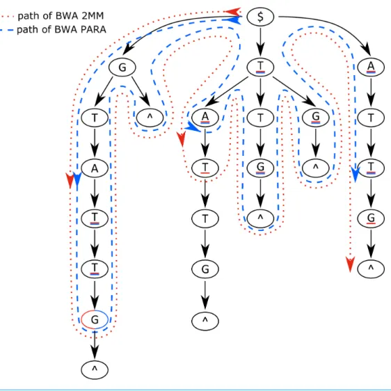 Figure 3 Suffix trie paths for the BWA and PARA-suite. Paths of the algorithms through the suffix trie aligning the read sequence GCCATG$ against the reference sequence GTTATG$ (where $ means the end of a sequence)