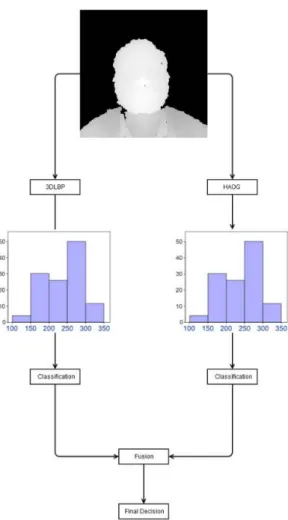 Figure 2.4: Process for Facial Recognition used by Cardia Neto and Marana (2015).