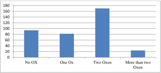Figure 3. Oxen ownership by households (Source: Survey result, 2015) 
