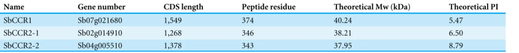 Table 2 Molecular characteristics of CCR genes in Sorghum bicolor.
