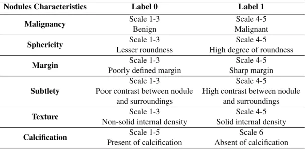 Table 3.3: Binary labels proposed by Shen et al. [3] from LIDC-IDRI rating scales for nodule characteristics.