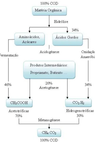 Figura 12: Balanço de CQO numa fracção orgânica de um aterro sanitário (adaptado de Renou et  al., 2008)