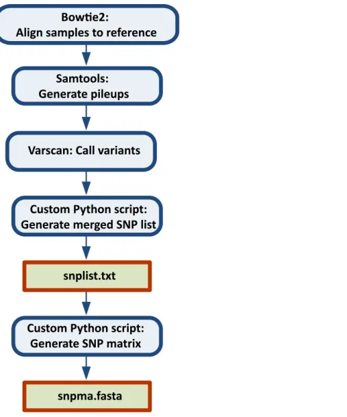 Figure 1 Steps in the SNP Pipeline. Rounded blue outlined boxes are analysis steps and squared red outlined boxes are files produced by the pipeline.