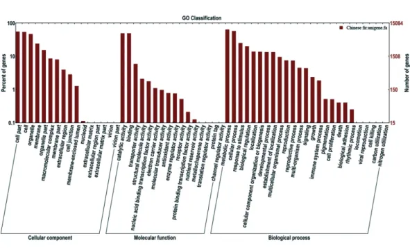Figure 3 Functional annotation of assembled sequences based on gene ontology (GO) categorization.