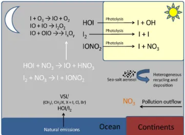 Figure 1. New nocturnal iodine chemistry (in white) implemented in the THAMO and CAM-Chem models.