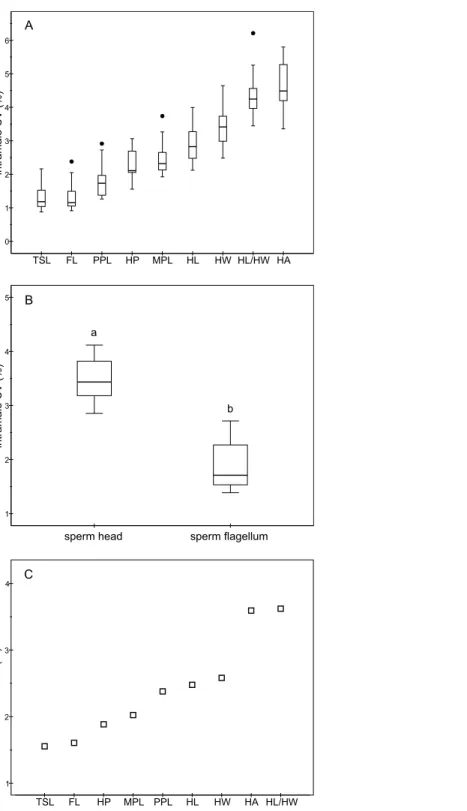 Figure 2 Coefficients of variation in sperm morphometry parameters. (A) Intramale coefficient of variation of the sperm morphometry parameters in red deer stags (N = 17); (B) Differences between the intramale coefficient of variation of the sperm head and 