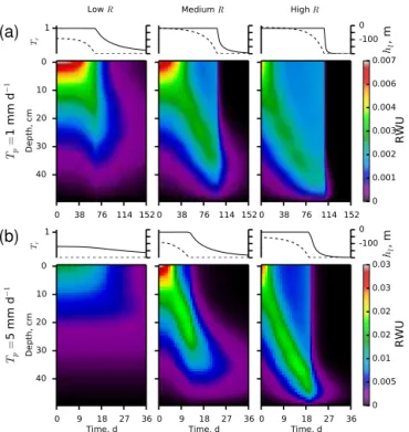 Figure 4. Time–depth root water uptake (RWU, d −1 ) pattern, leaf pressure head (h l , dashed line), and relative transpiration (T r ,  con-tinuous line) simulated by the SWAP model together with the De Jong van Lier et al