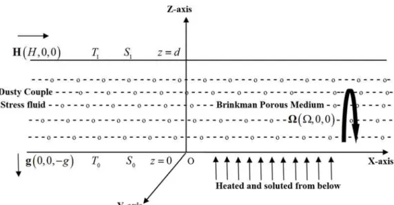 Fig. a. Geometrical Sketch of the Physical Problem. 