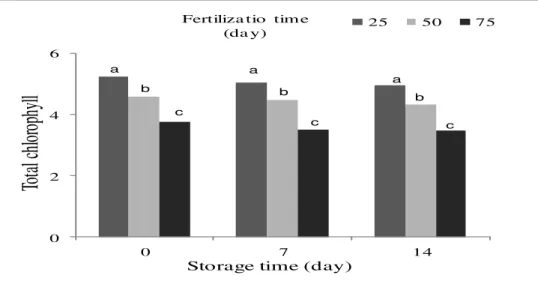 Figure  2.  The  concentration  of  total  chlorophyll  in  spinach  at  harvest  and  after  storage  in  relation  to  the  urea  fertilization time.Means followed by the same letter do not differ by LSD test at p ≤ 0.01.