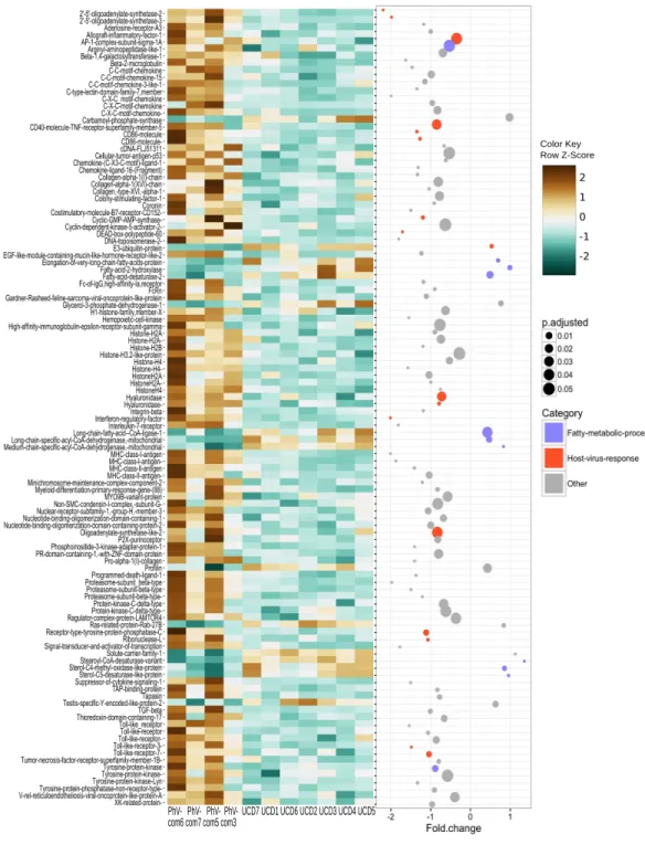 Figure 3 Significant differentially expressed genes (padj ≤ 0.05) within GO categories that were signif- signif-icantly enriched in the harbor seal transcriptome (GO p-value ≤ 0.05 and multifunctionality of ≤0.85).