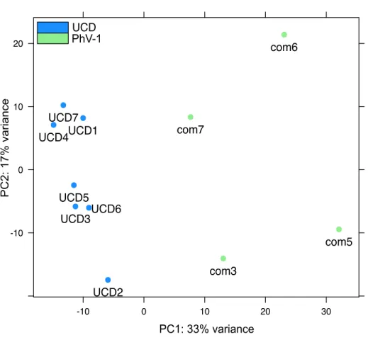Figure 1 Batch effects on transcripts from the brain tissue of harbor seal samples. Principal Coordinate Analysis (PCA) of all annotated transcripts in both PhV-1com and UCD harbor seals.