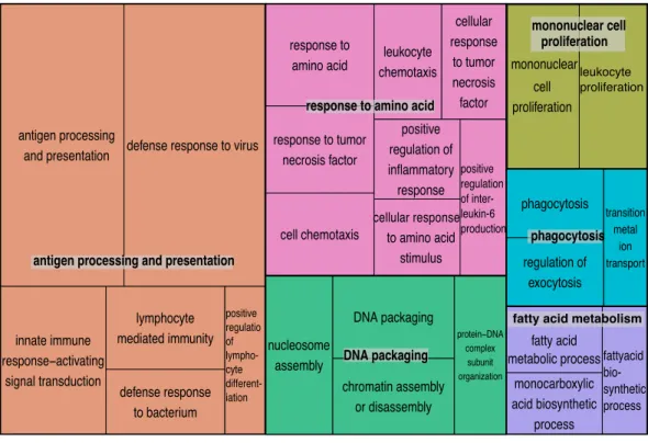 Figure 2 Semantically summarized GO terms. Tree map summary of 32 significantly enriched GO terms (p-value ≤ 0.05, and multifunctionality ≤ 0.85) of both UCD and PhV-1 samples