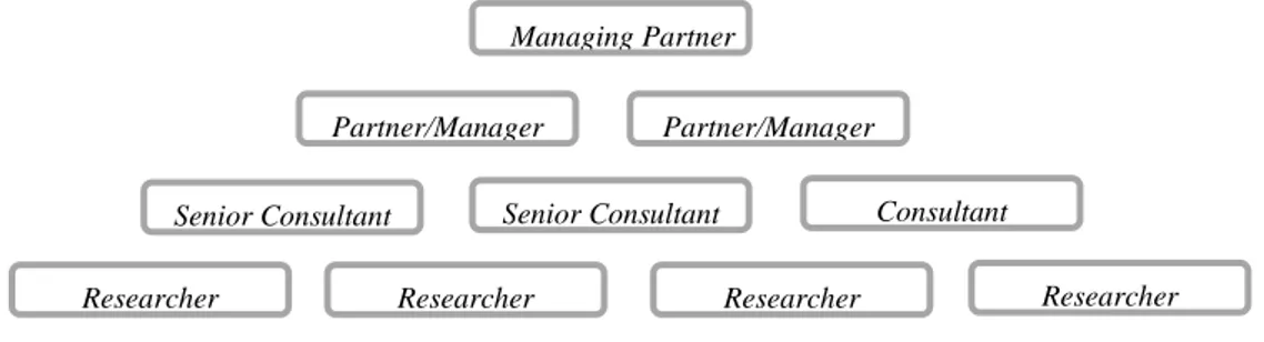 Figura 2 - Organograma da Empresa em estudo