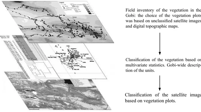 Figure 3. Schematic ! gure of the analysis steps and data used within the creation of a park-wide vegetation  map.