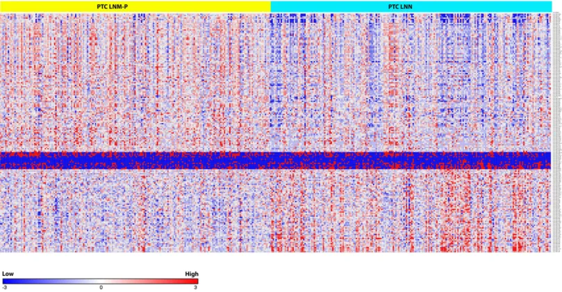 Figure 2 Heat map of the 181 differentially expressed miRNAs in PTC LNM-P and LNN (Student’s T -test with BH corrected p value ≤ 0 