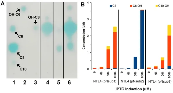Figure 5 Identification and quantification of AHL signals produced through the individual heterolo- heterolo-gous expression of Novosphingobium subterraneum LuxI homologs
