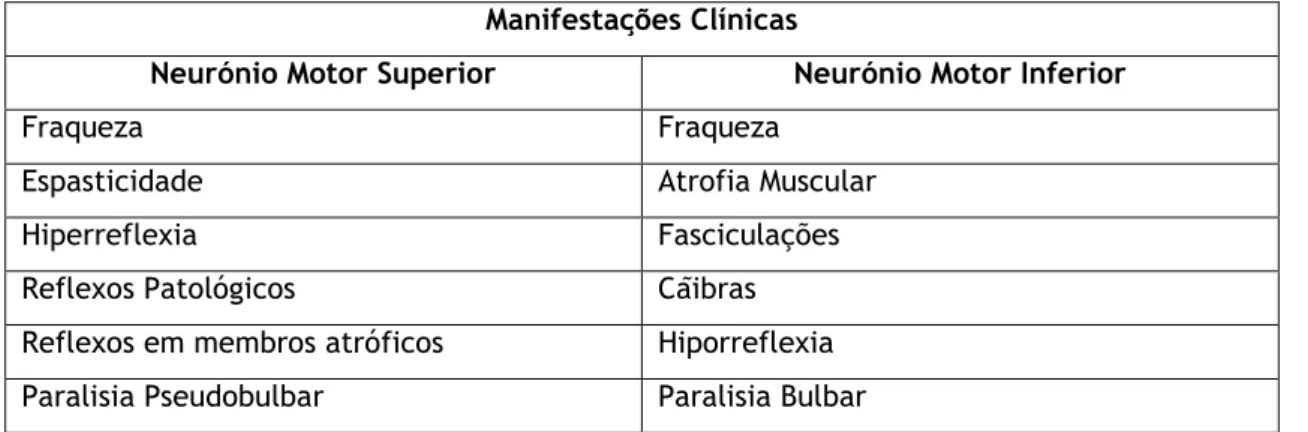 Tabela 2 – Manifestações clínicas de disfunção dos neurónios motores superior e inferior (adaptado de  Rezania P., Roos R) 