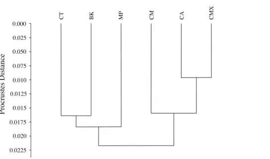 Figure 7 Dendrogram formed by means of the UPGMA method using Procrustes distances of female ACP reared on different host plant species