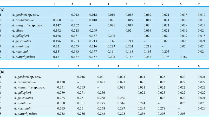 Table 2 Uncorrected interspecific genetic distances between all Asaccus species included in the molecular phylogenetic analyses