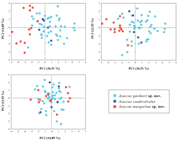 Figure 3 Principal Component Analysis (PCA) of the shape related morphological data. The contribu- contribu-tion of the first three principal components is given in brackets