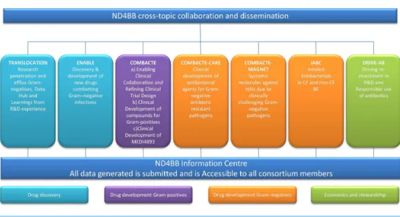 Figure 1 Structural outline of the New Drugs for Bad Bugs (ND4BB) framework.