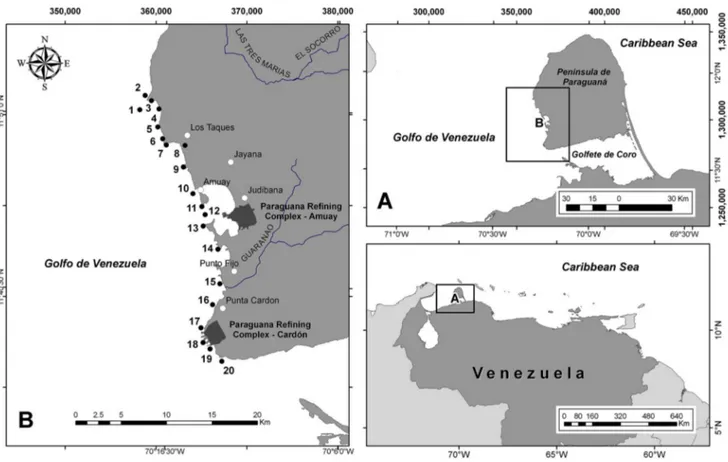 Figure 1 Study area. Spatial distribution of sampling sites across the western coast of Peninsula de Paraguana´, Venezuela