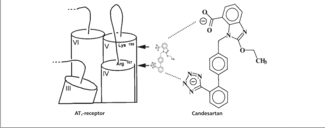 Figure 3 Graphical representation of the possible interaction of Arg 167 with the tetrazole moiety and of Lys 199 with the carboxylate group of candesartan.