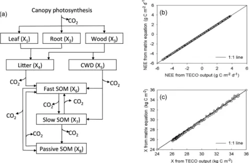 Figure 1. The Terrestrial ECOsystem (TECO) model and its outputs. Panel (a) is a schematic representation of C transfers among multiple pools in plant, litter, and soil in the TECO model